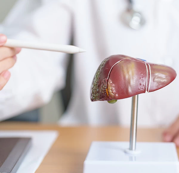 KFT Test: Understanding Kidney Function and How It Assesses Renal Health