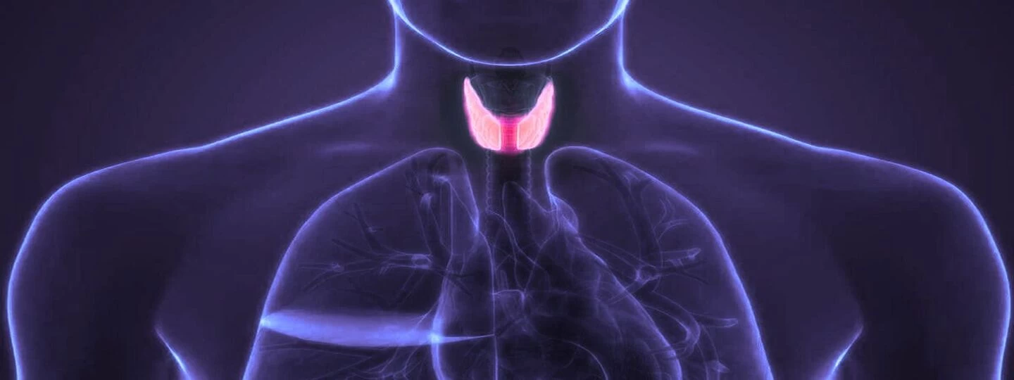 Comprehensive Thyroid Screening: A Roadmap to Early Detection