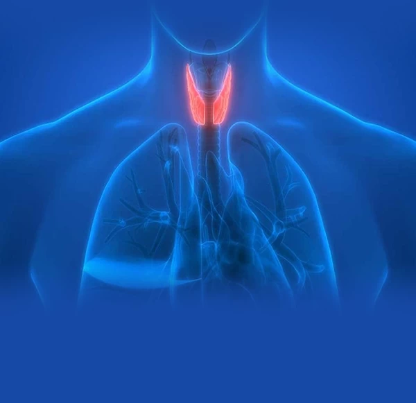 Comprehensive Thyroid Screening: A Roadmap to Early Detection