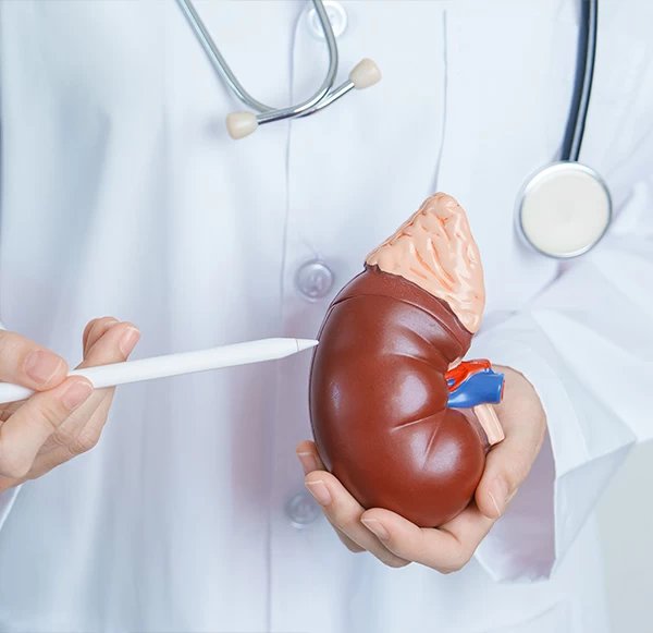 What's a KFT Test and Why Is It Important for Your Kidney Health?