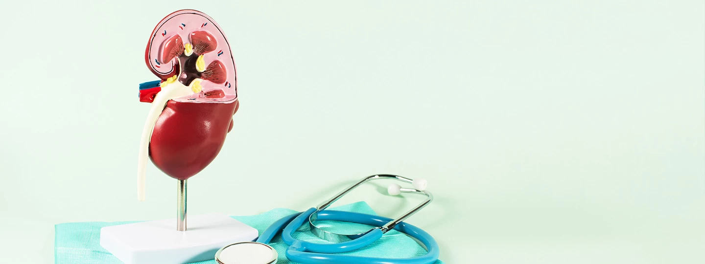 Understanding Your RFT Results: Normal Ranges, What’s Alarming, and Next Steps