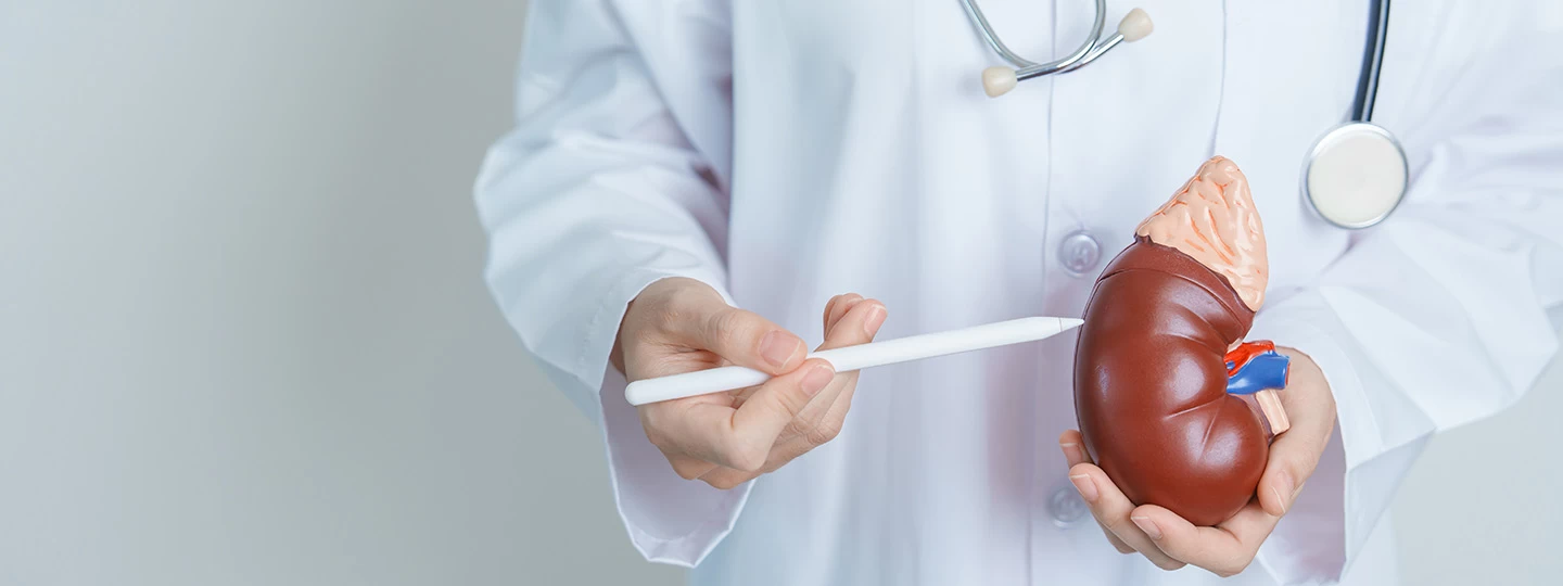 What's a KFT Test and Why Is It Important for Your Kidney Health?